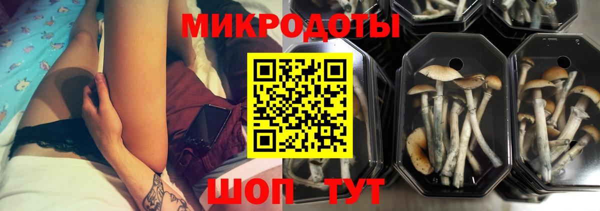 Галлюциногенные грибы ЛСД  Вход с VPN  Знаменск 